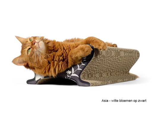 CatDesignStore - Thumbnail