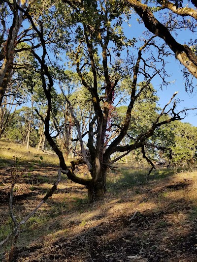 Timberhill Natural Area