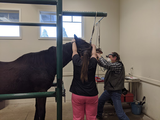 Equus Veterinary Service - Thumbnail