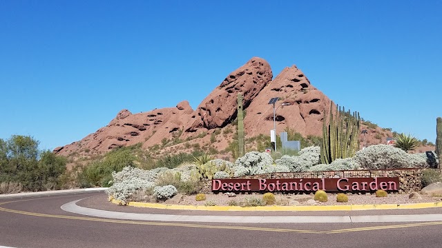 Desert Botanical Garden