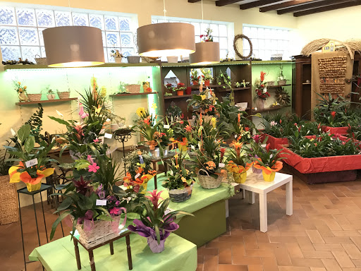Blumenhaus Weiß - Thumbnail