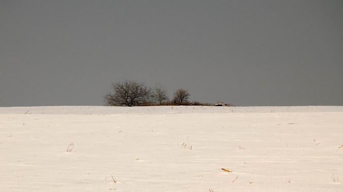 Tetétlen plateau, Author: Kababik Csaba