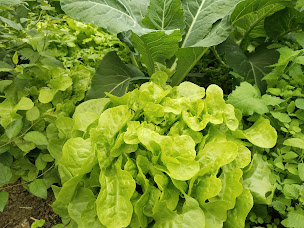 Photo n°4 de Elodie Herrscher Traiteur à Châtel-sur-Moselle (Traiteur)