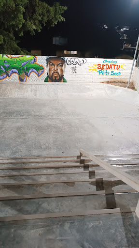 Skatepark de la pilita seca