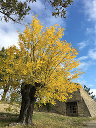 Photo n°2 de Ferme GRAS à Sainte-Jalle (Résidence)