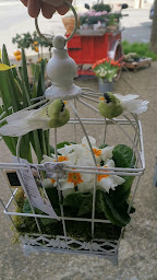 Photo n°2 de L'Arrosoir de Mireille à Monteux (Décorateur.rice floral.e)