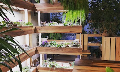 Photos of Pegah Flower Cafe