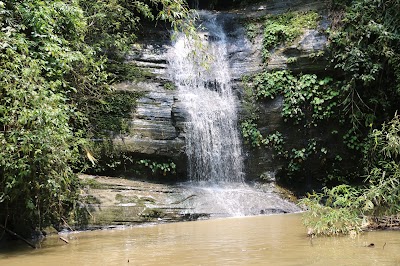 Photos of Rajkandi Reserve Forest