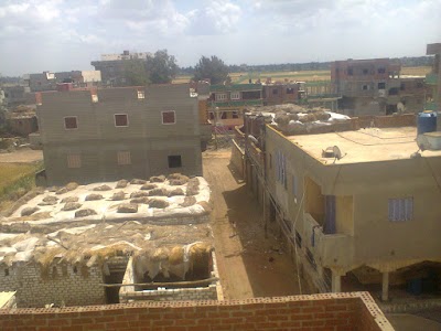 Photos of مسجد عزبة الشريف