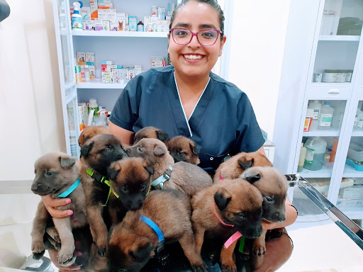 MayVet Clínica Veterinaria