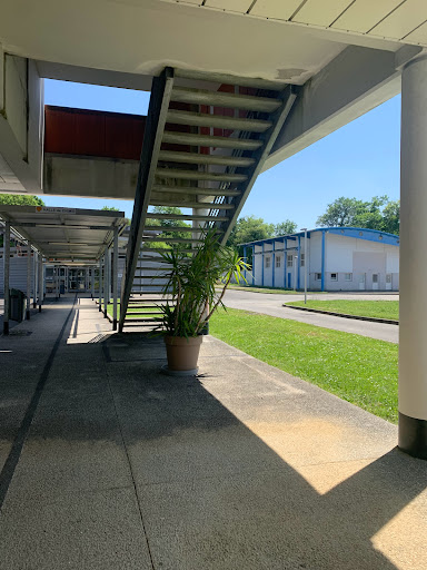 Vocational High School Pierre Et Marie Curie - Thumbnail