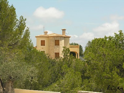Photos of Finca El Otero