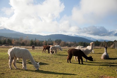 Happy Valley Alpaca Ranch