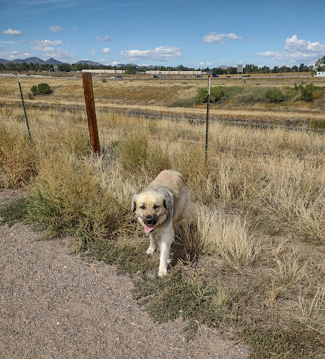 Chatfield Dog Park Gallery - United States