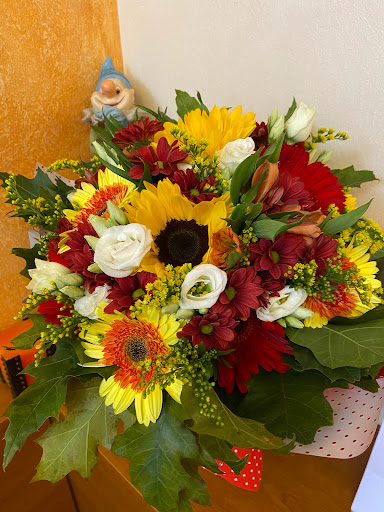 FloreAlex Piante e Fiori Fiorista Consegne a Domicilio - Thumbnail