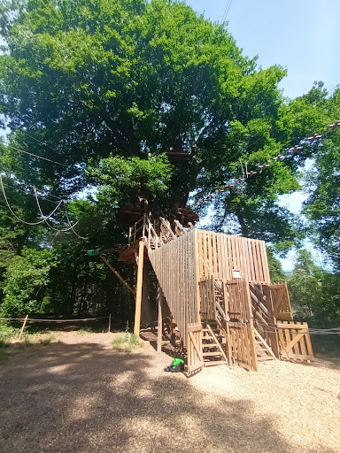 Parc de la charmeraie - Thumbnail