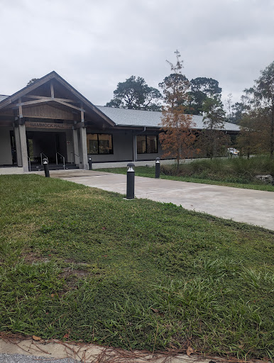 Hammock Hall - Visual