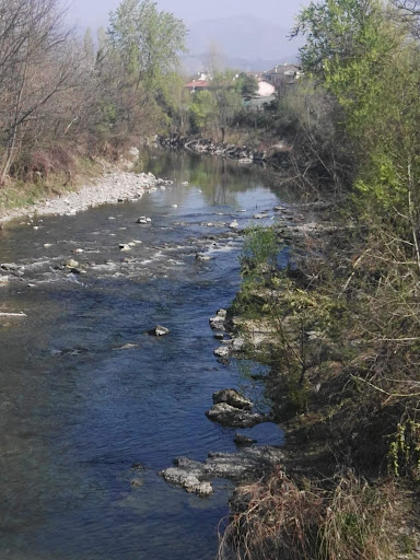 Fiume serio - Visual