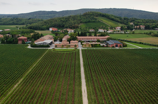 Tenuta Villanova - Visual