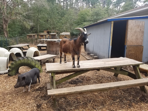 Possumwood Acres Wildlife Sanctuary - Thumbnail