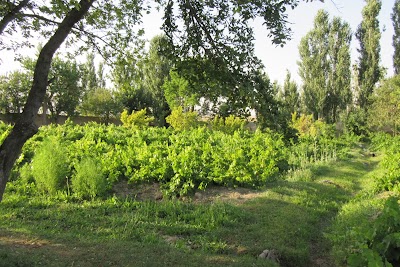 Photos of روستای چلبی
