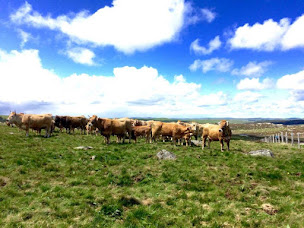 Photo n°1 de Gaec Rodier à Trélans (Éleveur)
