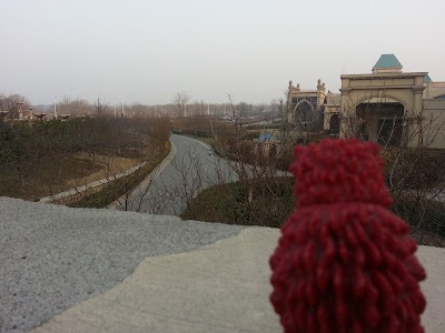 Photos of Hyatt Regency Tianjin