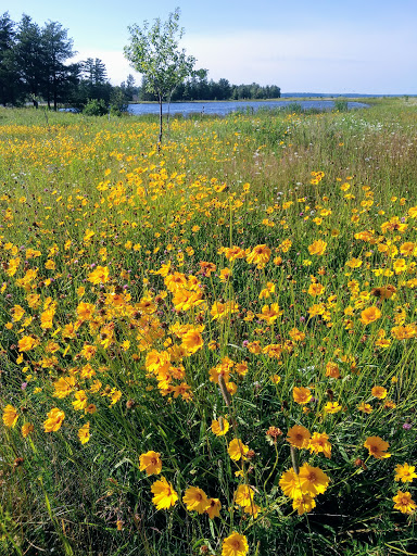 Keweenaw Bay Ojibwa Community College Gallery - United States