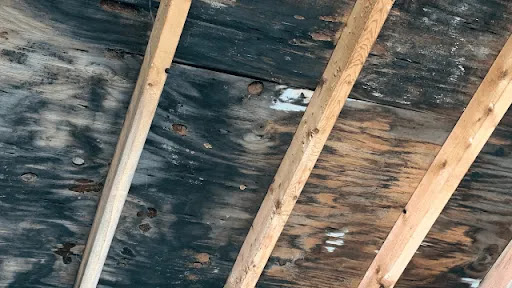 Complete Restoration LLC - Thumbnail