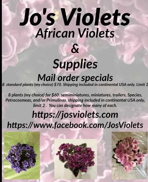 JoS Violets