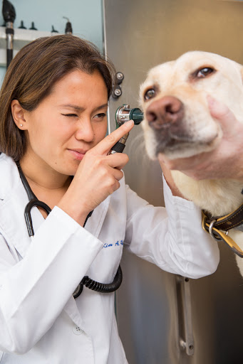 Jamestown Animal Clinic - Thumbnail