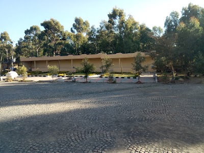 Photos of St. Michael (ቅዱስ ሚካኤል)