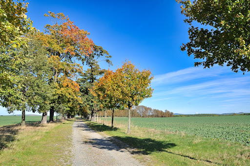 Hermsdorfer Allee - Thumbnail