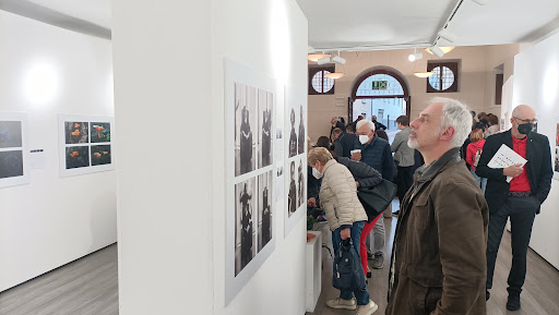 Sala Maier Gallery - Italy