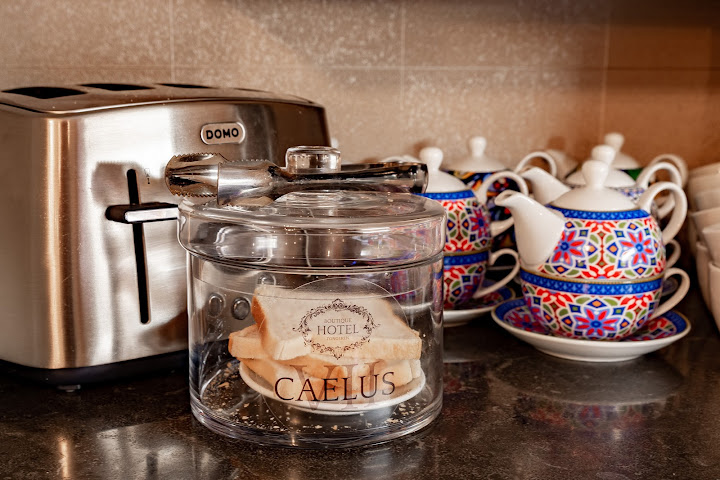 Boutique Hotel Caelus VII by null