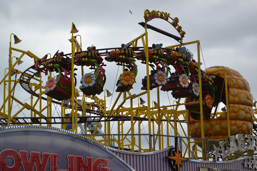 Queen Bee Coaster - Visual