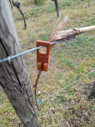 Photo n°7 de Earl Bronner Bernard à Riquewihr (Caviste)