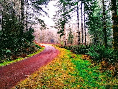 Siuslaw National Forest