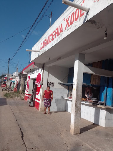 Carniceria Xool Logo