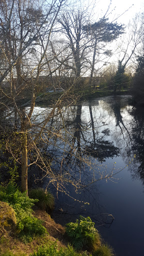Bellfields Pond - Visual