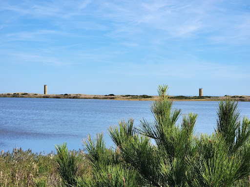 Gordons Pond State Park Area Gallery - United States