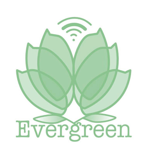 Evergreen Languages - Thumbnail