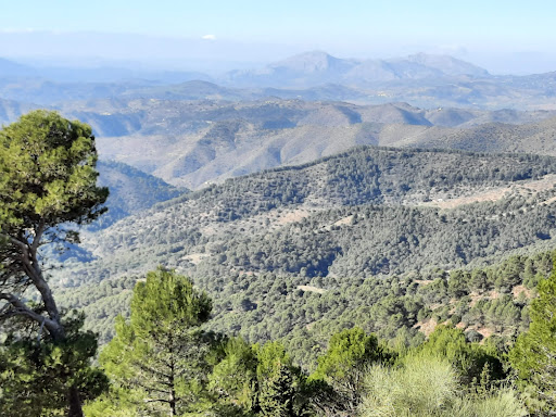 Montes de Málaga Natural Park
