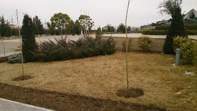 Photos of Gashalti Health Hotel (Naftalan)