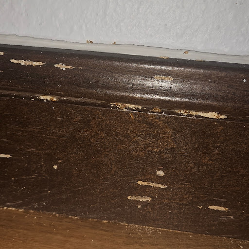post-image-2