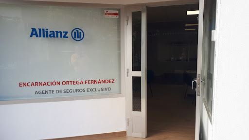ALLIANZ SEGUROS Encarnacion Ortega - Thumbnail