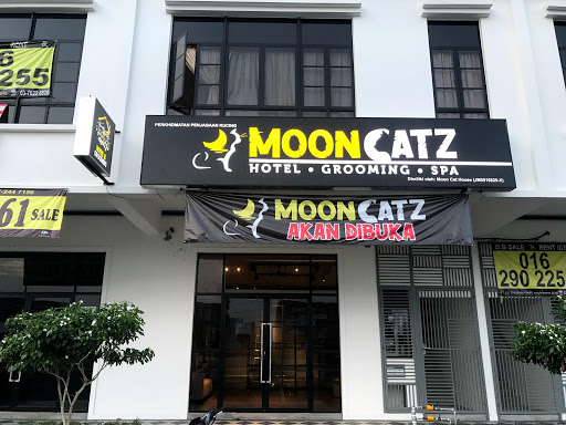 MOONCATZ