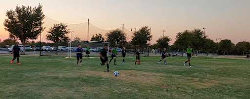 Field #10 - Visual