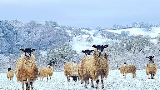 Wood Farm Gallery - United Kingdom