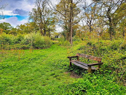 Wayland Wood - Thumbnail